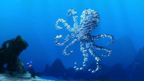  What answer did Dory give when the school of silver fisch made an impression of an octopus?