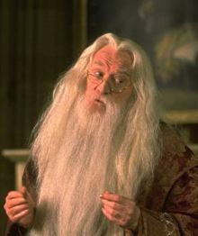 How did Dumbledore recognize Professor McGonagall as a cat?