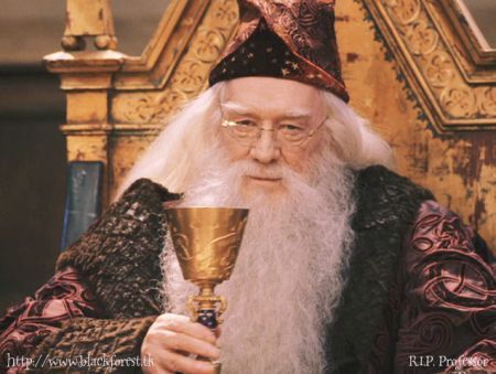  Finish this quote of Dumbledore's, To a well organized mind...