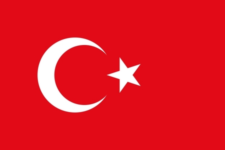  In which 년 did Turkey (Türkiye) debut ?