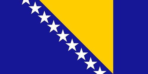  In which an did Bosnia & Herzegovina debut ?