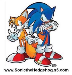  Sonic and Tails (detailed)