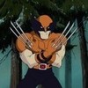 X-men Evolution,Wolverine axemnas photo