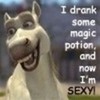 I wish I could drink some magic potion and get a pony. =D jamfan4 photo