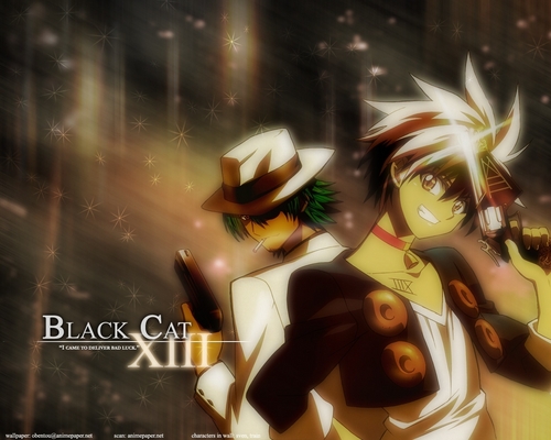  Black Cat achtergrond