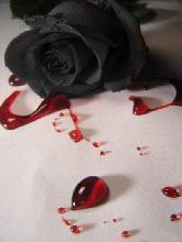  Black Rose Emo Blood