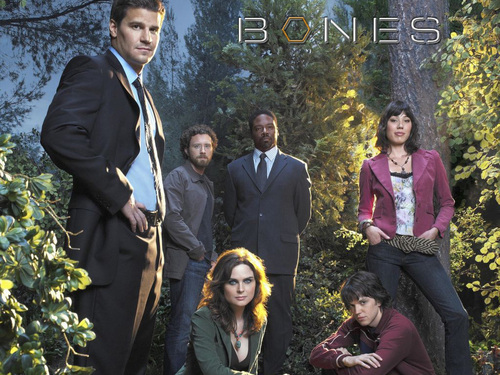  Bones cast s2