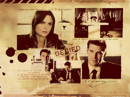  Booth & Brennan (Bones)