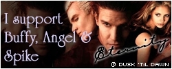  Buffy Angel – Jäger der Finsternis Spike