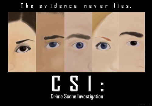  CSI: The Evidence Never Lies