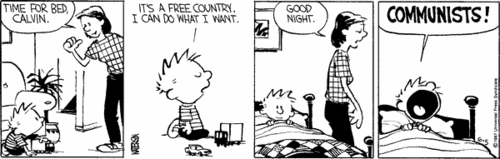 Calvin on Communism