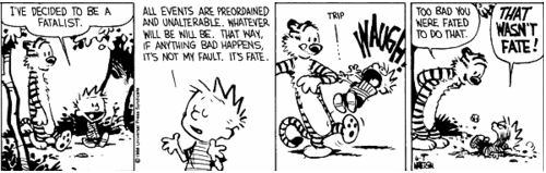  Calvin on Fate