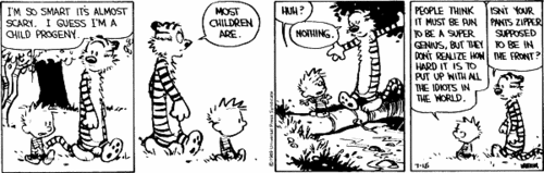Calvin on his Genius