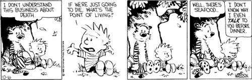  Calvin on the Point of Life
