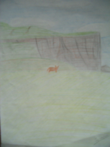  Cliffs and Cow