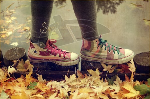 Converse with leaves