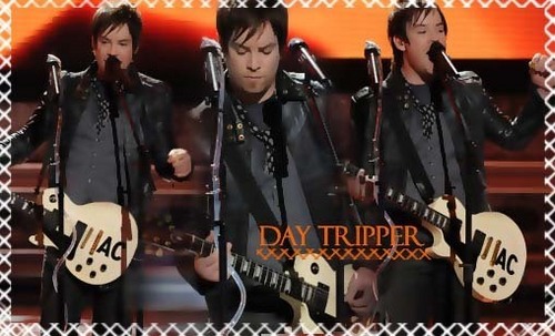  দিন Tripper