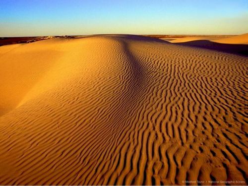  Egyptian Desert