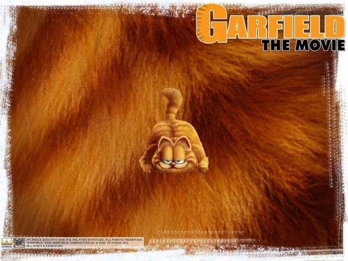  Garfield: The Movie karatasi la kupamba ukuta