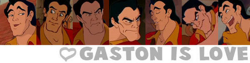 Gaston Banner