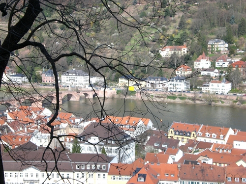  Heidelberg 1