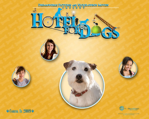  Hotel for Dogs