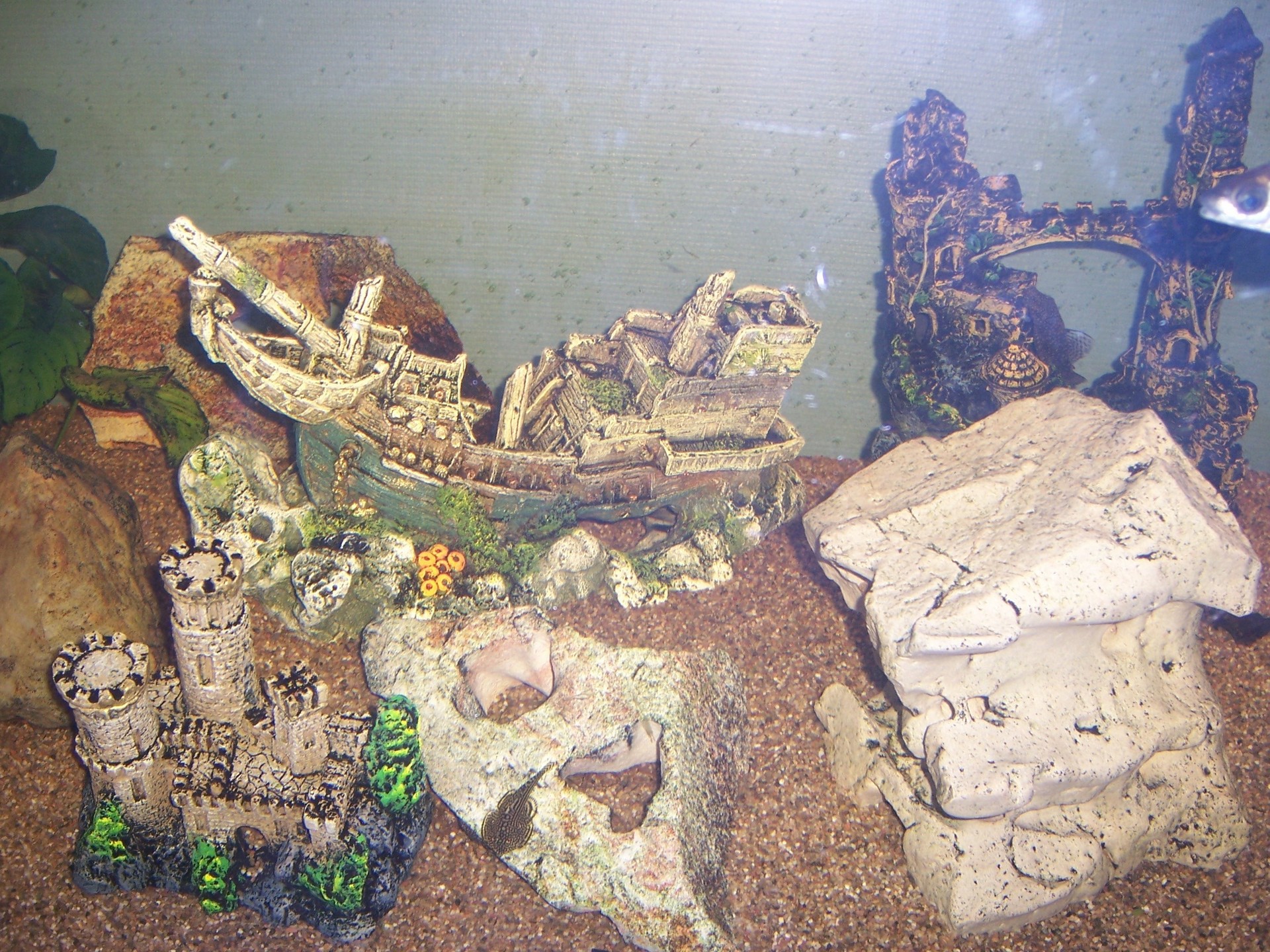 In-wall Aquarium
