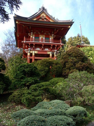  Japanese tee Garden