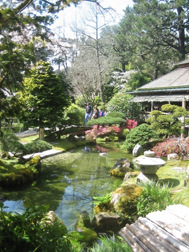  Japanese 茶 Garden