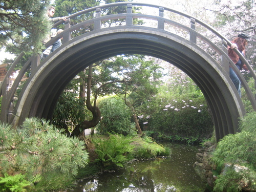  Japanese 차 Garden