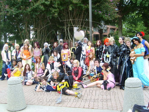  Kingdom Hearts Huge Group picha