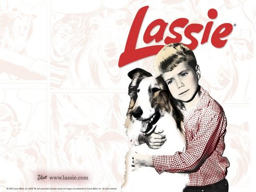  Lassie w'paper