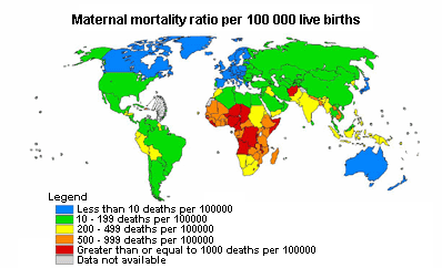  Maternal Mortality Rates