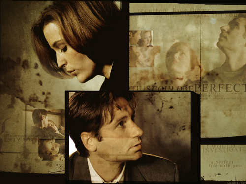  Mulder & Scully (X-Files)