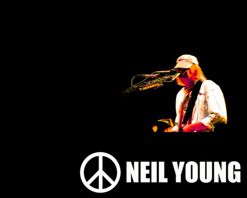  Neil Young