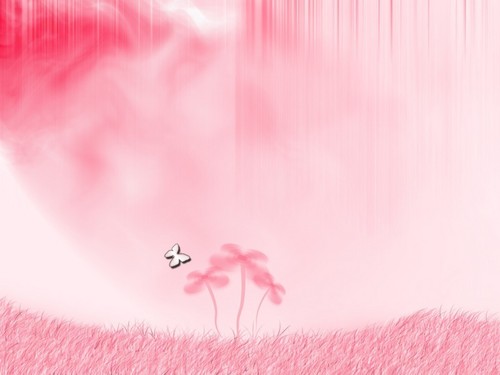  roze achtergrond