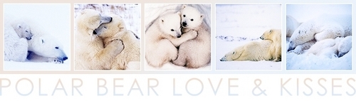  Polar bär Liebe and Kisses Banner