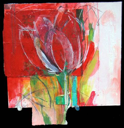  Red bunga tulp, tulip