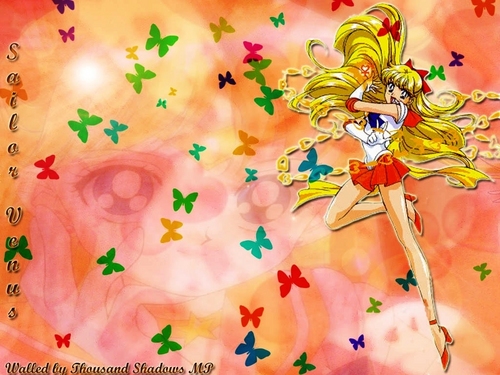  Sailor Moon 10