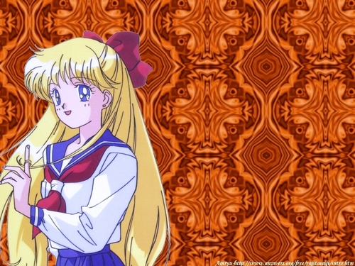  Sailor Moon 20