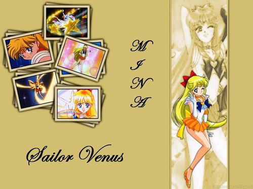  Sailor Moon 22