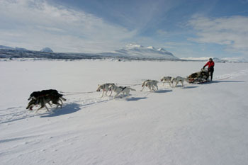  Sarek, Laponia - winter