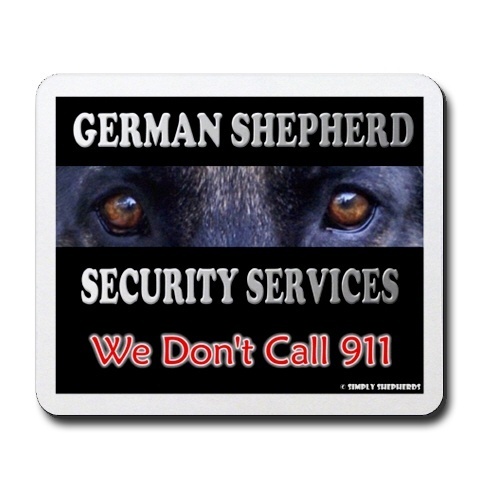  Security Services