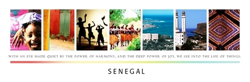  Senegal Banner