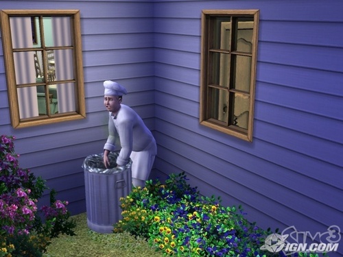  Sims 3
