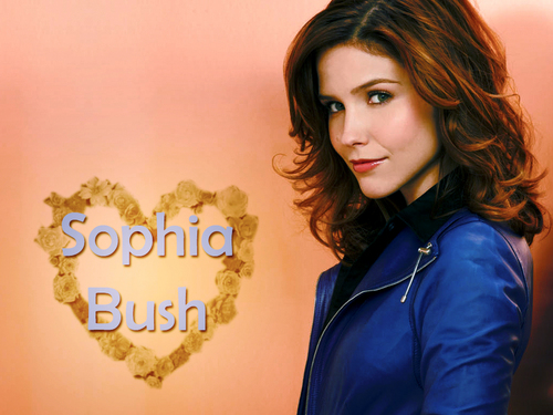  Sophia