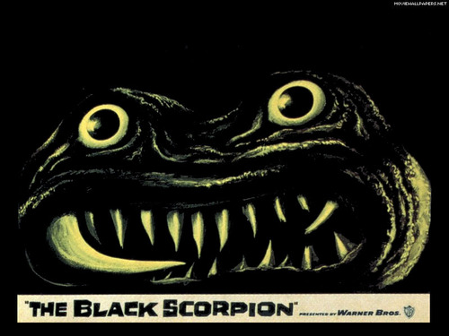  The Black schorpioen, scorpion