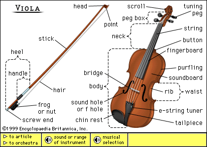 Viola Diagram