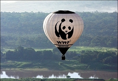 WWF hot Air Balloon