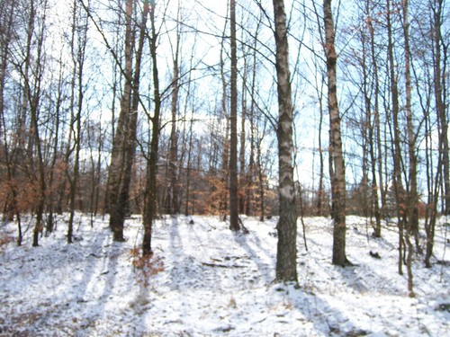 Winter in Sweden 2008